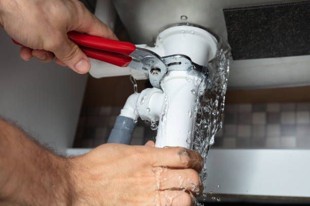 Best Water damage restoration cost  in Tellico Plains, TN