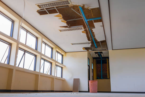 Best Sewage cleanup and water damage restoration  in Tellico Plains, TN