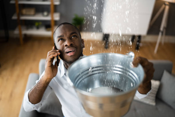 Best Residential water damage restoration  in Tellico Plains, TN