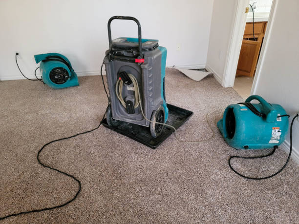 Best Water damage cleanup near me  in Tellico Plains, TN