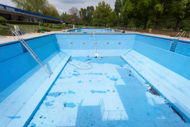 Best Water damage restoration mold remediation  in Tellico Plains, TN