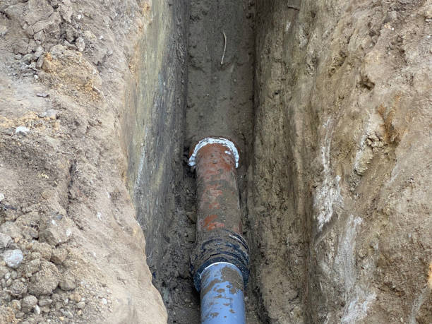 Best 24/7 water damage repair  in Tellico Plains, TN