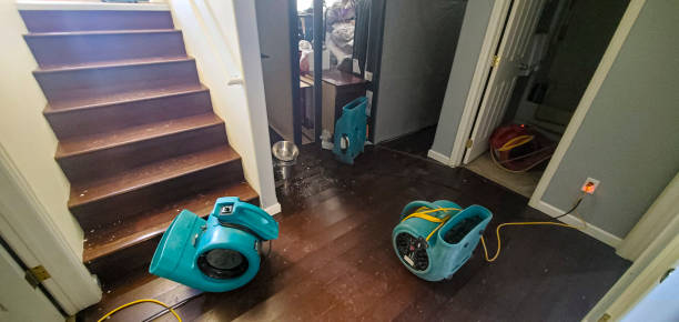 Best Water damage restoration company  in Tellico Plains, TN