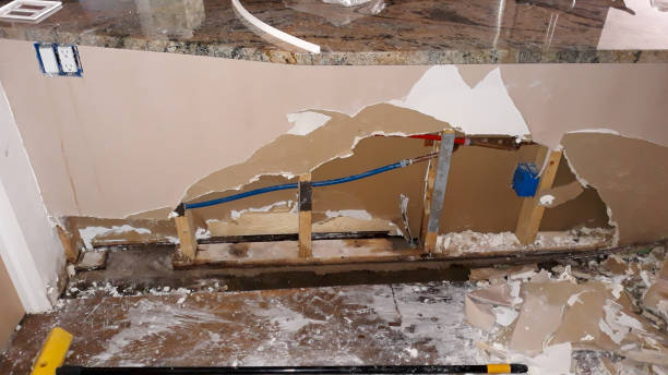 Best Professional water damage repair  in Tellico Plains, TN