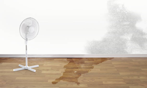 Best Flood restoration services  in Tellico Plains, TN