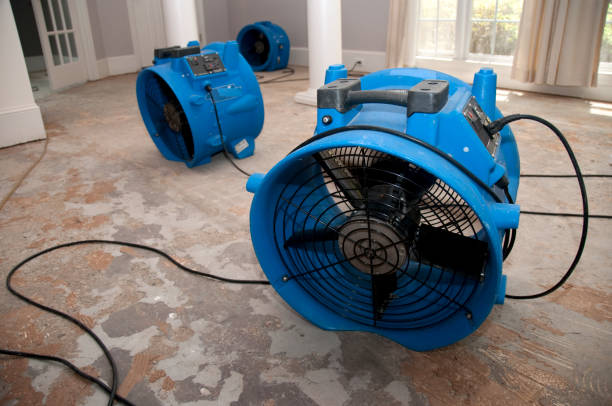Best Water damage cleanup near me  in Tellico Plains, TN