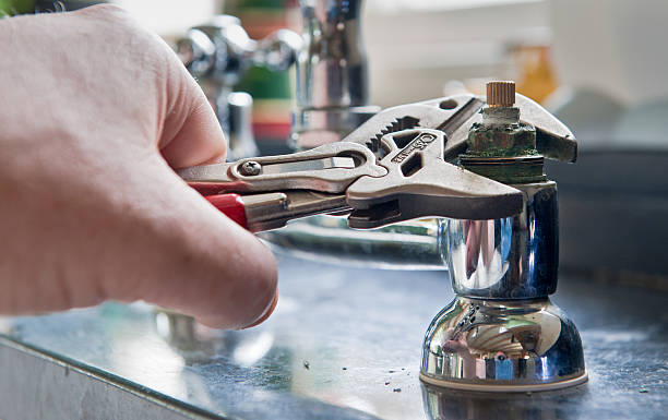 Best Carpet water damage restoration  in Tellico Plains, TN