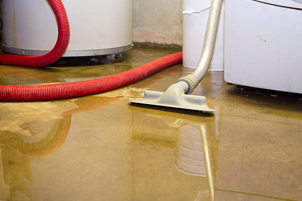 Best Emergency water damage restoration  in Tellico Plains, TN