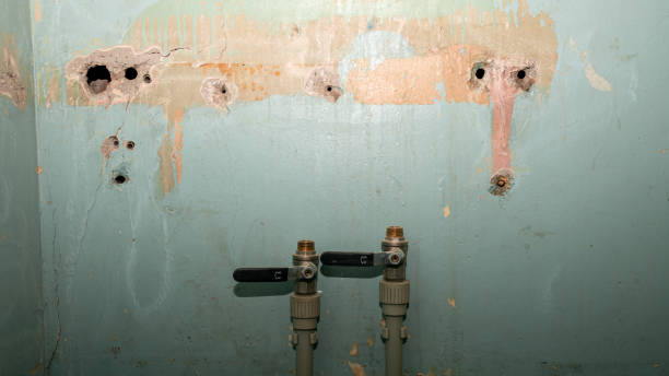 Best Flooded house restoration  in Tellico Plains, TN