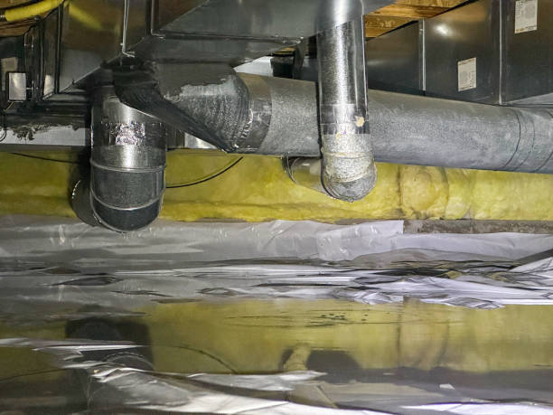 Water damage restoration mold remediation in TN