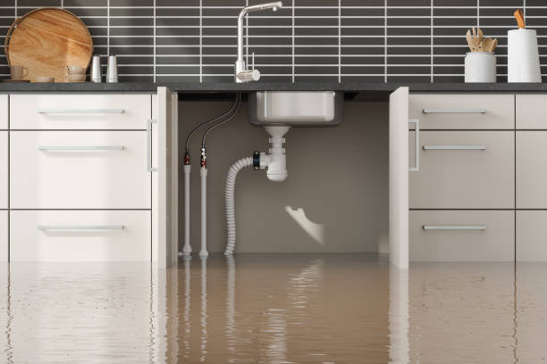 Best Flood damage cleanup  in Tellico Plains, TN