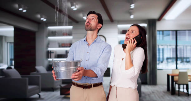 Best Professional water damage repair  in Tellico Plains, TN
